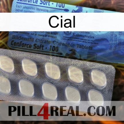 Cial 34
